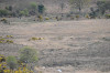 View over the target from the arrow. The light-coloured vegetation is the swamp. The target is near the two people, about 30 metres closer to us.

