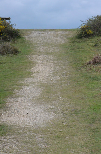 Existing track