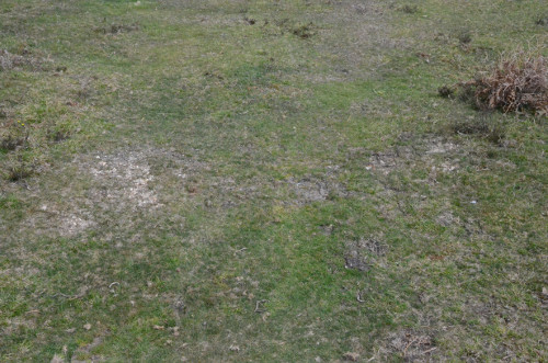 Buried track