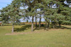 NorthTower-3