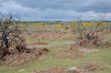 Looking west towards the car park. The bombers would have approached from the west.