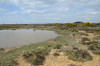 Debris thrown out by the explosion still forms a wide ring of orange subsoil round the crater.